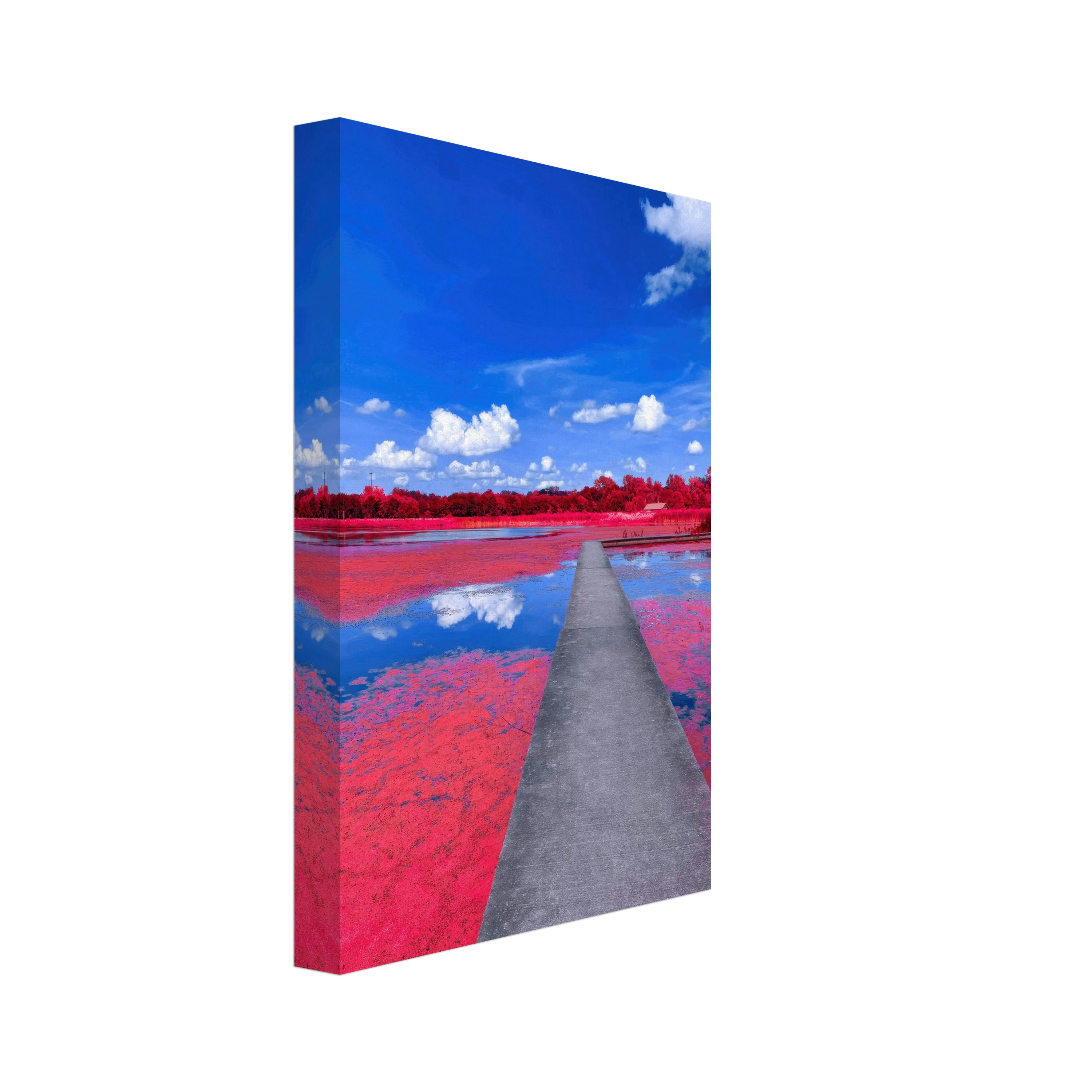 print with a transparent background.