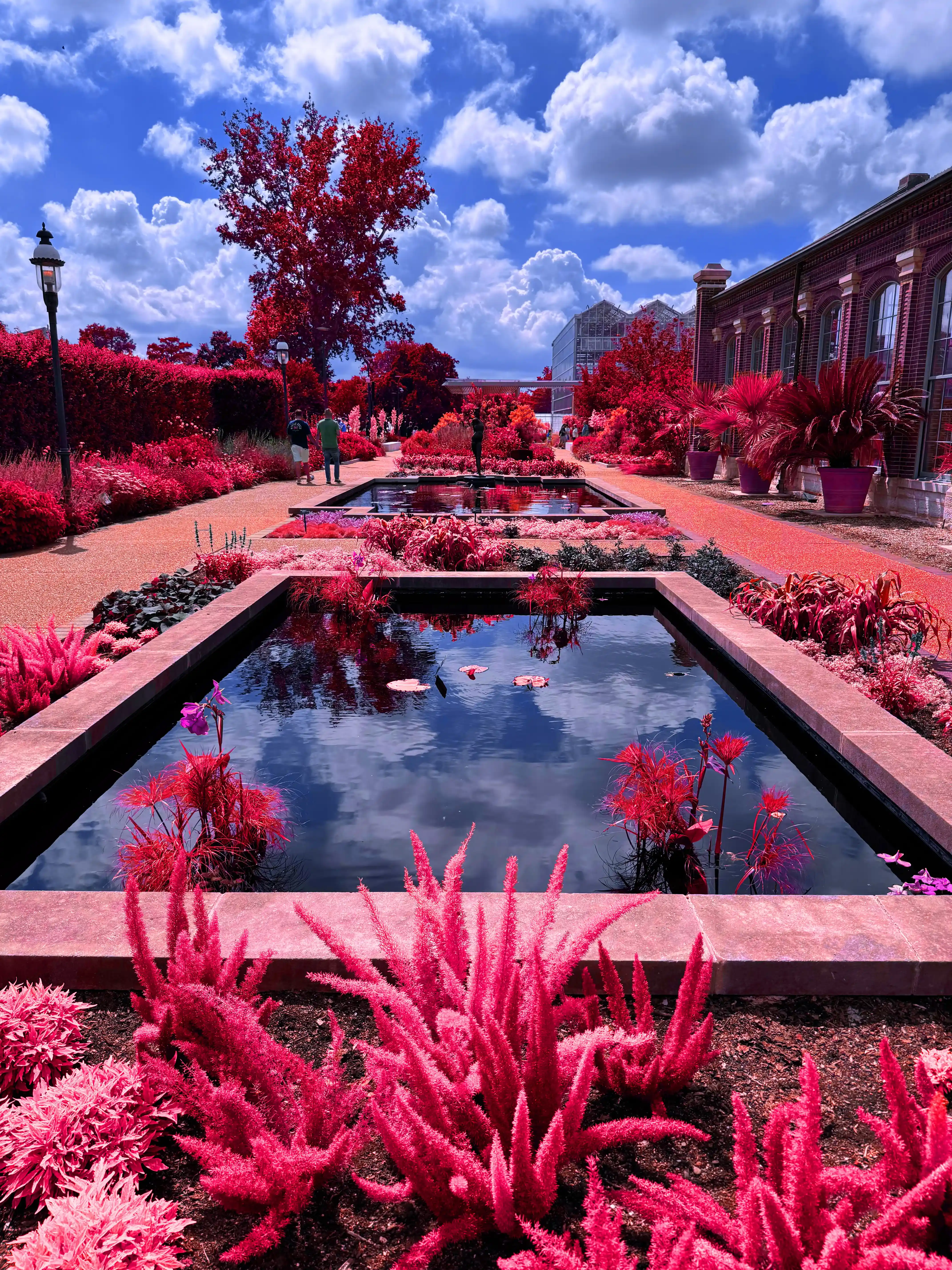 Image of Garden Pools (Red) print.