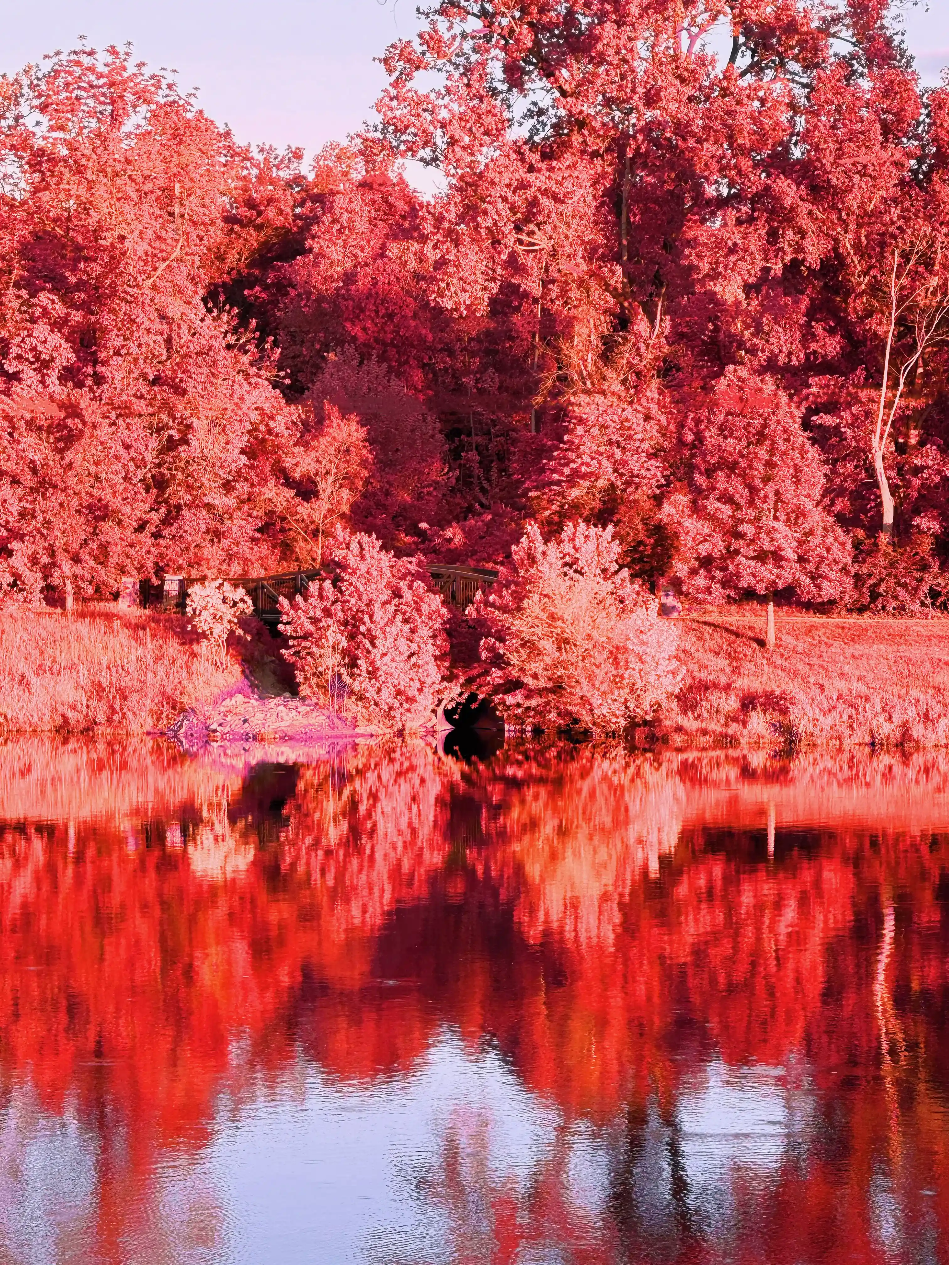 Image of Harmony Lake (Red) print.