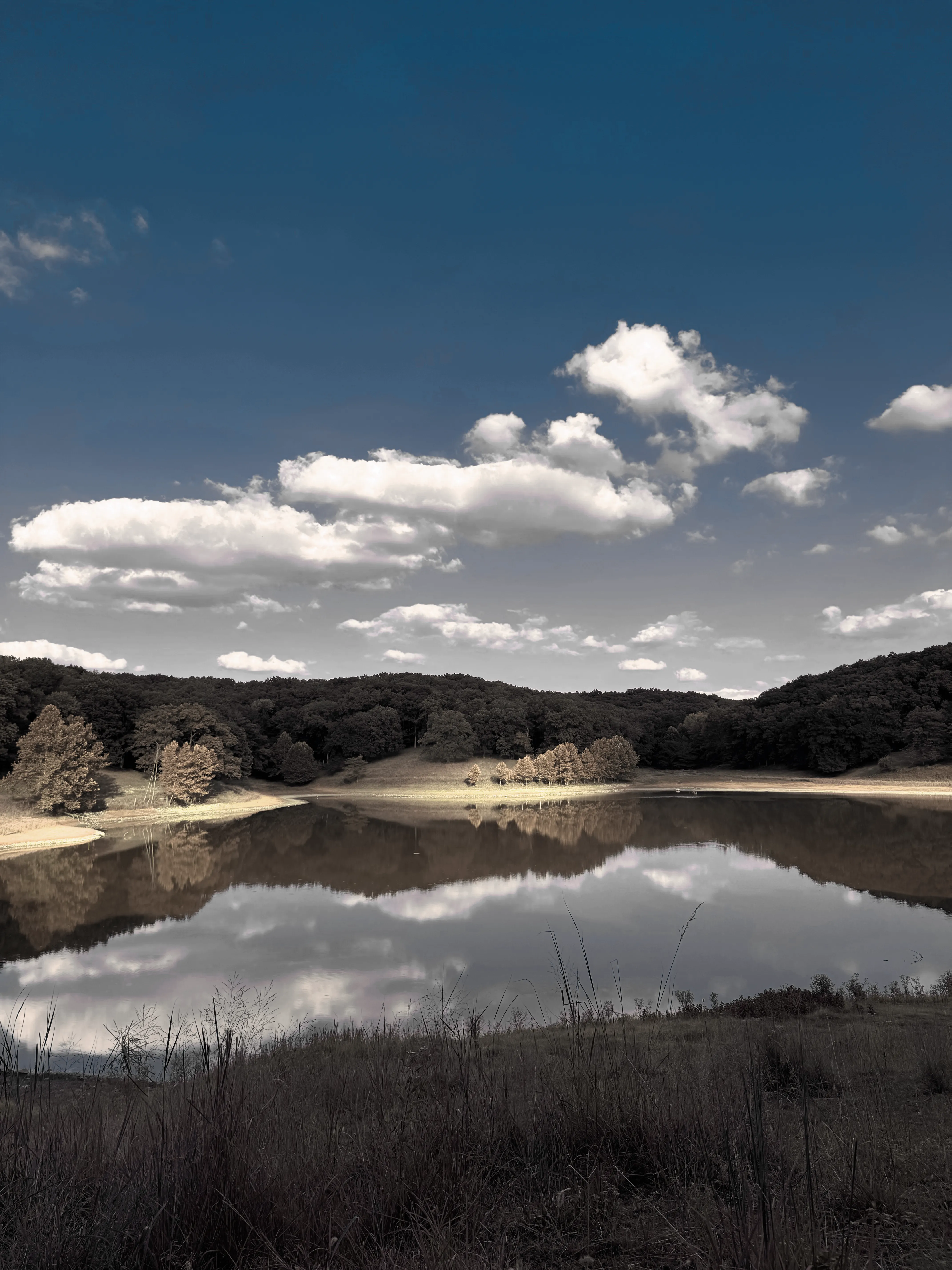 Image of Lone Elk Park Lake (White) print.