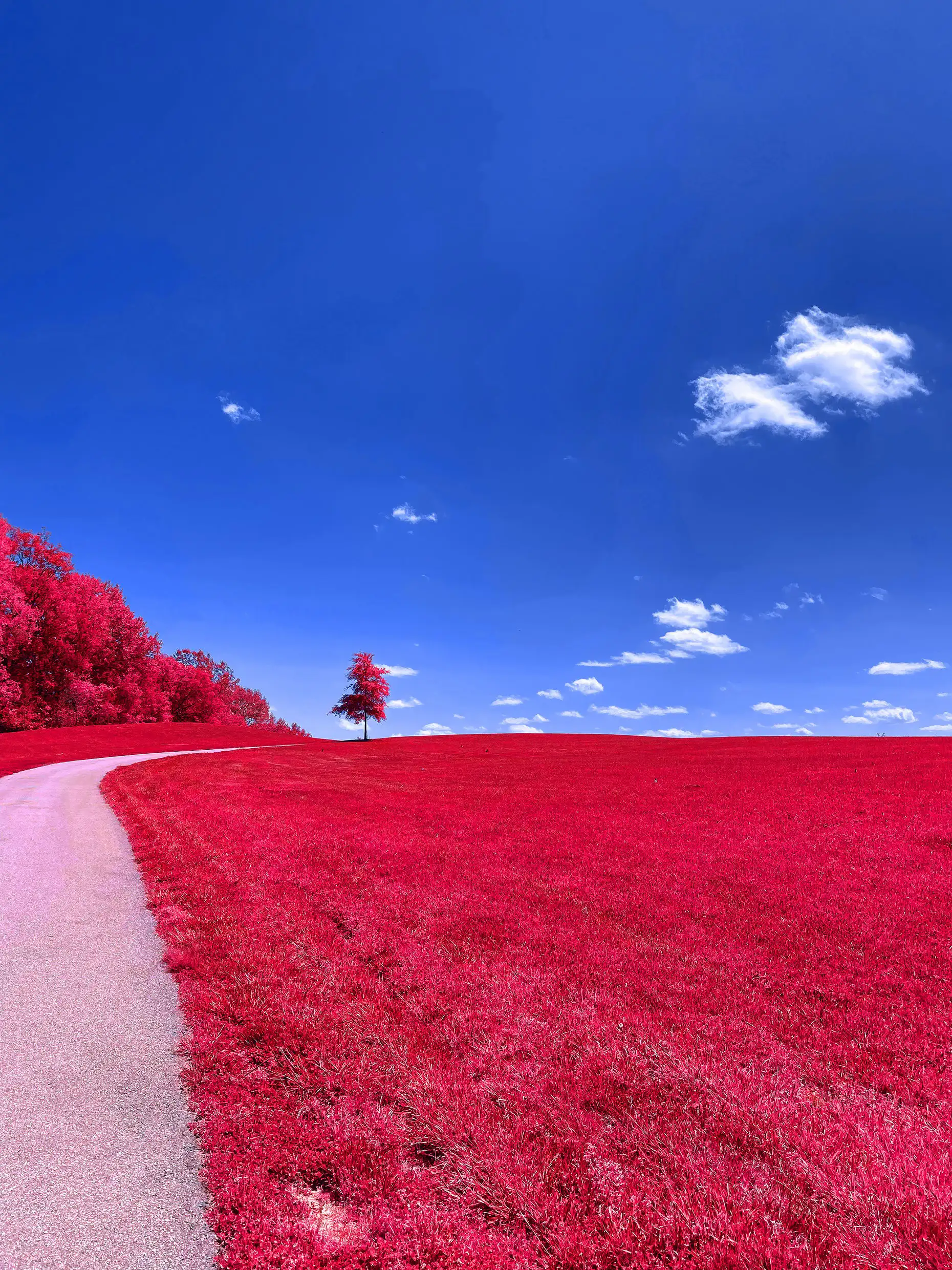 Image of Path Meets Sky (Red) - Vertical Canvas print.