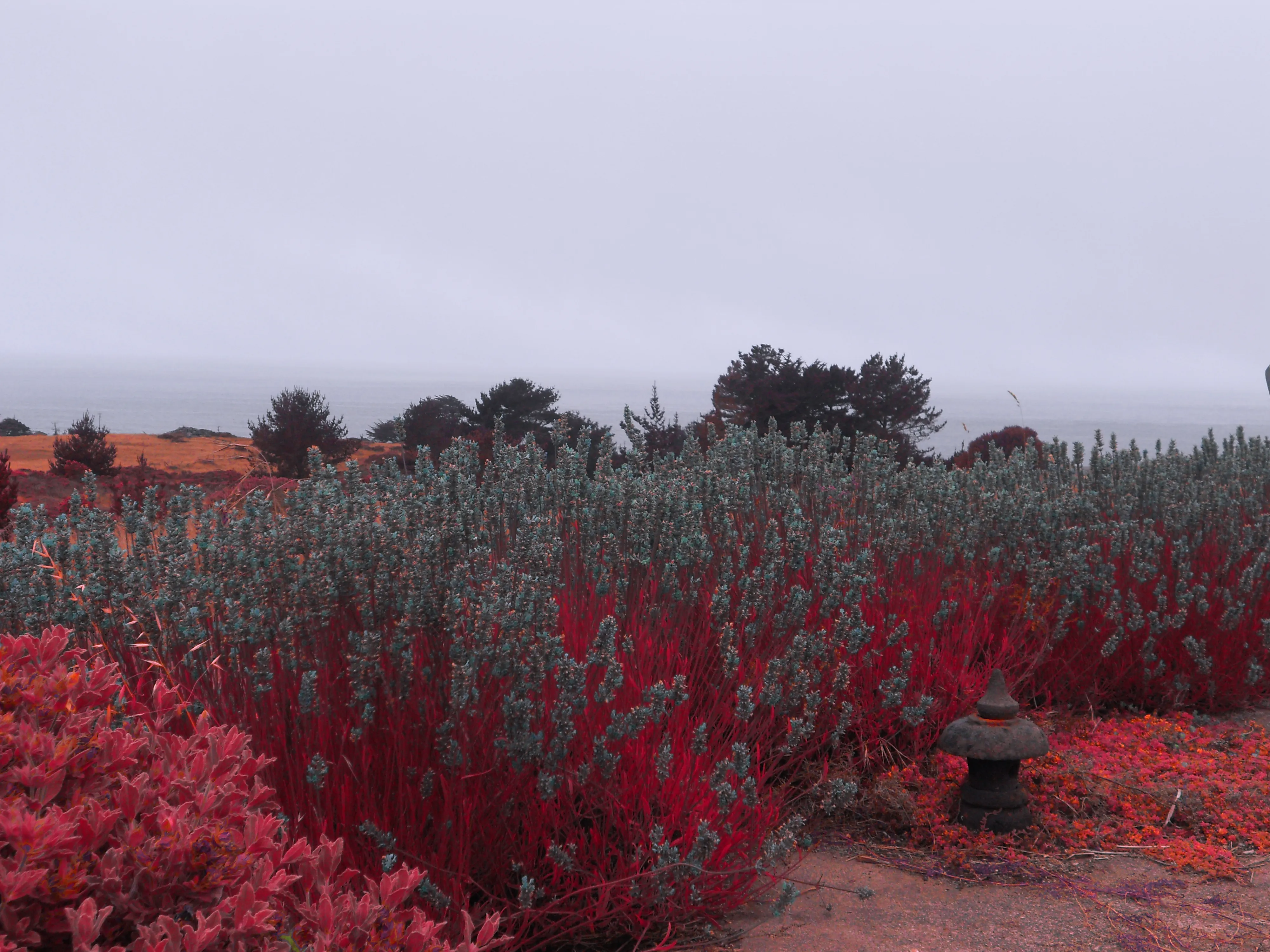 Image of Prairie Fog (Red) print.