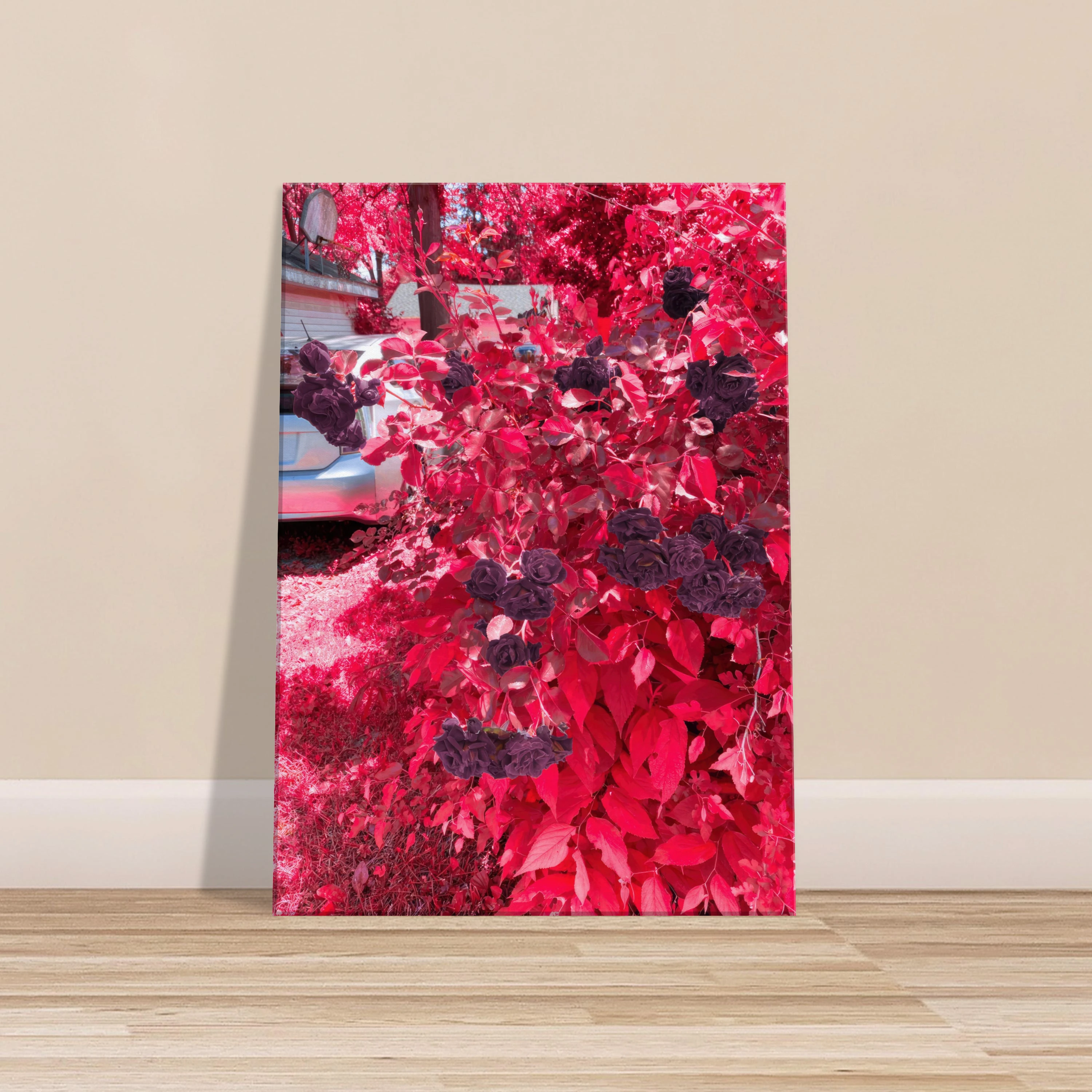 print leaning up against a wall.
