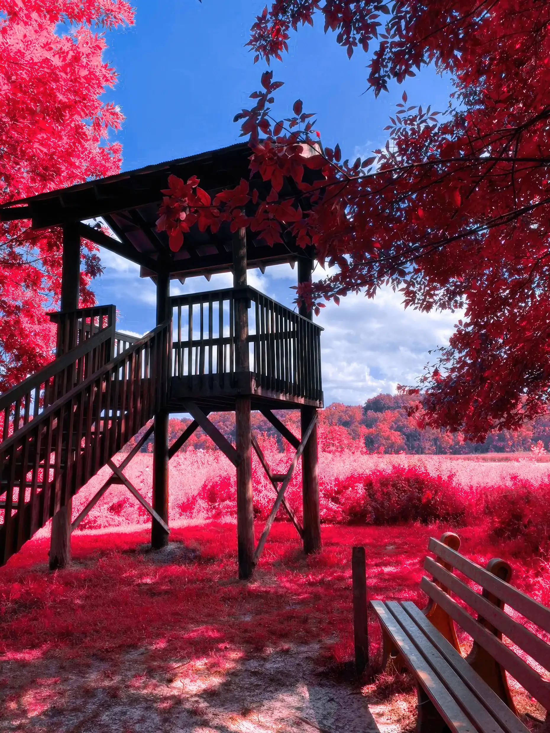 Image of Tower in Trees (Red) - Vertical Canvas print.
